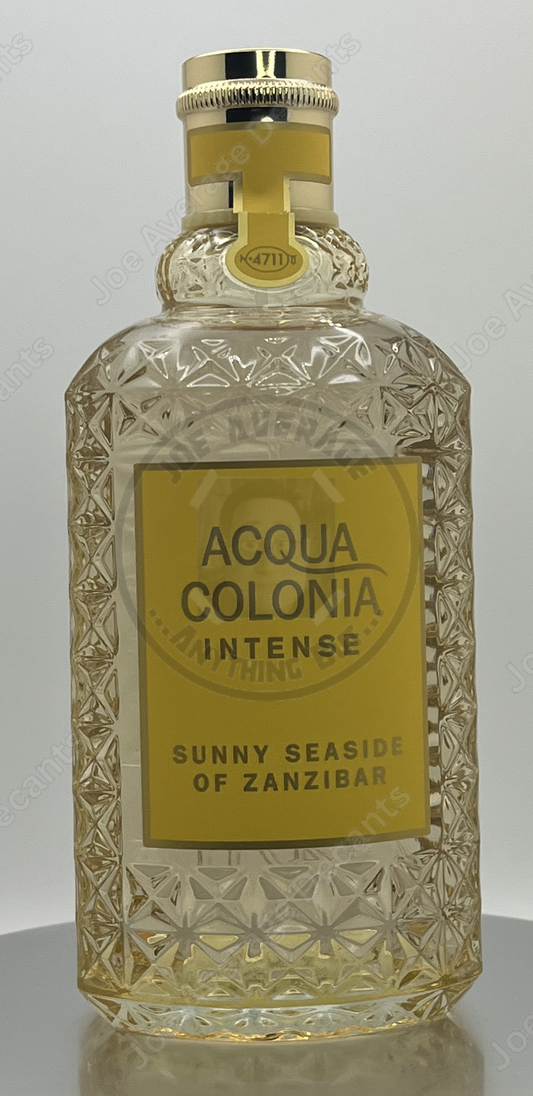 Sunny Seaside of Zanzibar