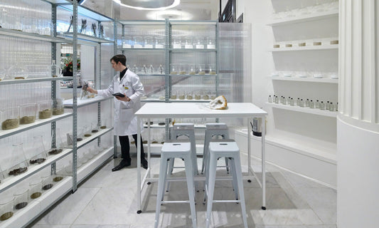 (Series Intro) - Welcome to the “Who Is Perfumer” Series! Joe A.'s Decants