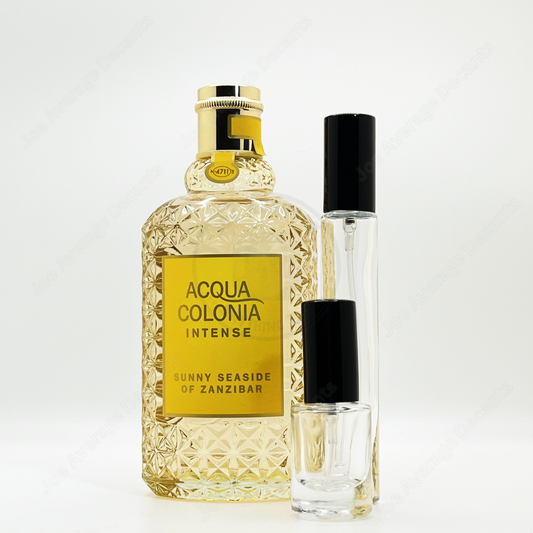 Sunny Seaside of Zanzibar 4711